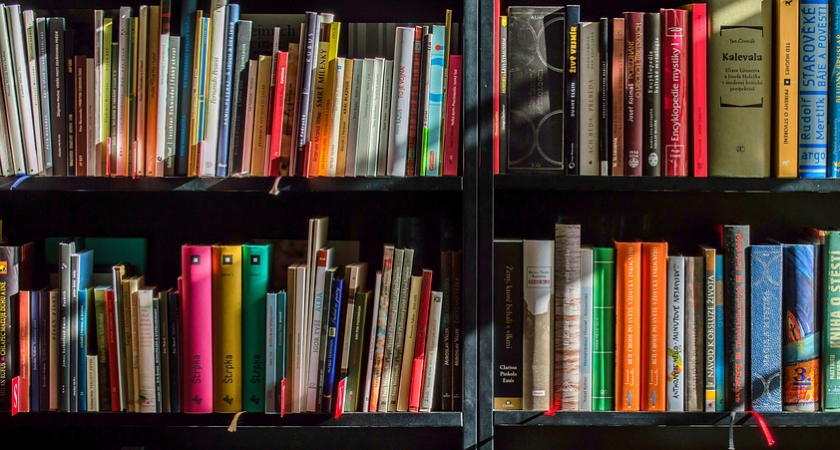 Publishing: ‘The Pavese Stone’; ‘Democracy in Higher Education’ | University Times