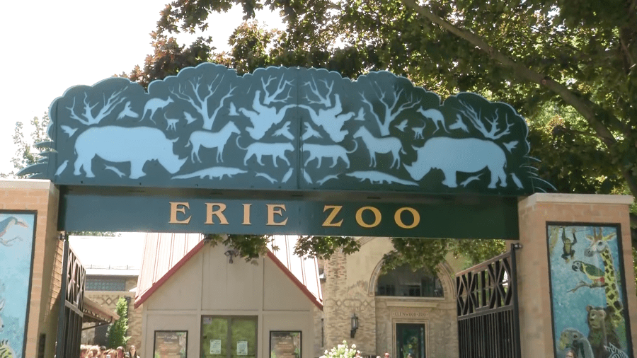 Erie Zoo stays open after-hours for ‘Wild Wednesdays’ through July