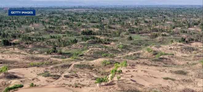 a retired teacher from plum, pennsylvania, is being recognized in china for a donation he made in 1999 that helped transform a desert in inner mongolia into a thriving forest. ﻿