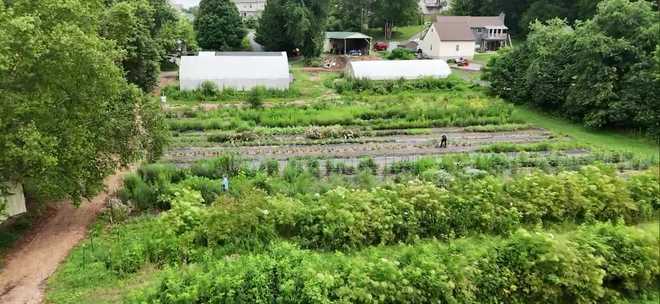 after days of heavy rain, volunteers at homefields farm in pennsylvania are working to address flooding issues while learning how to better protect their crops in the future.
