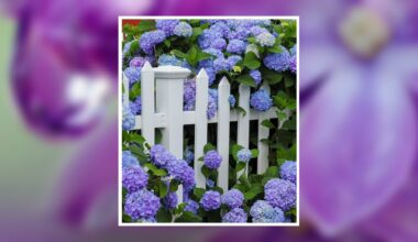 Anna Mikitka Obituary Jul 1, 2026