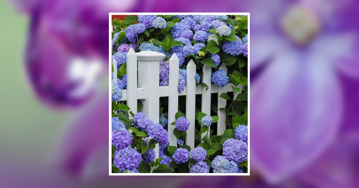 Anna Mikitka Obituary Jul 1, 2026