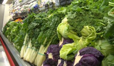 Cyclospora cases surge in Pennsylvania, New Jersey as diarrhea-causing parasite sweeps nation