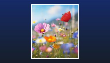 Jean M. Tate Obituary Jul 25, 2026
