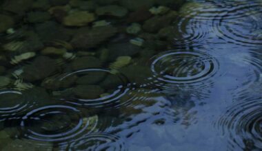 Evergreen Park stream, pond closed in Ross Township due to E. coli