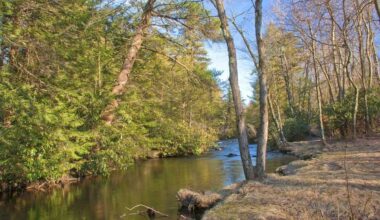 Pennsylvania Supreme Court rules against warrantless entry on private hunting lands