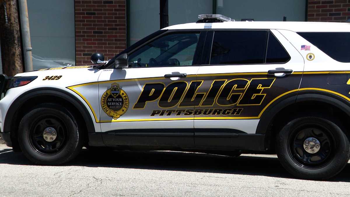 Pittsburgh police respond to crowd of 150 juveniles