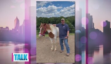 How Orchardview Stables helps veterans and first responders