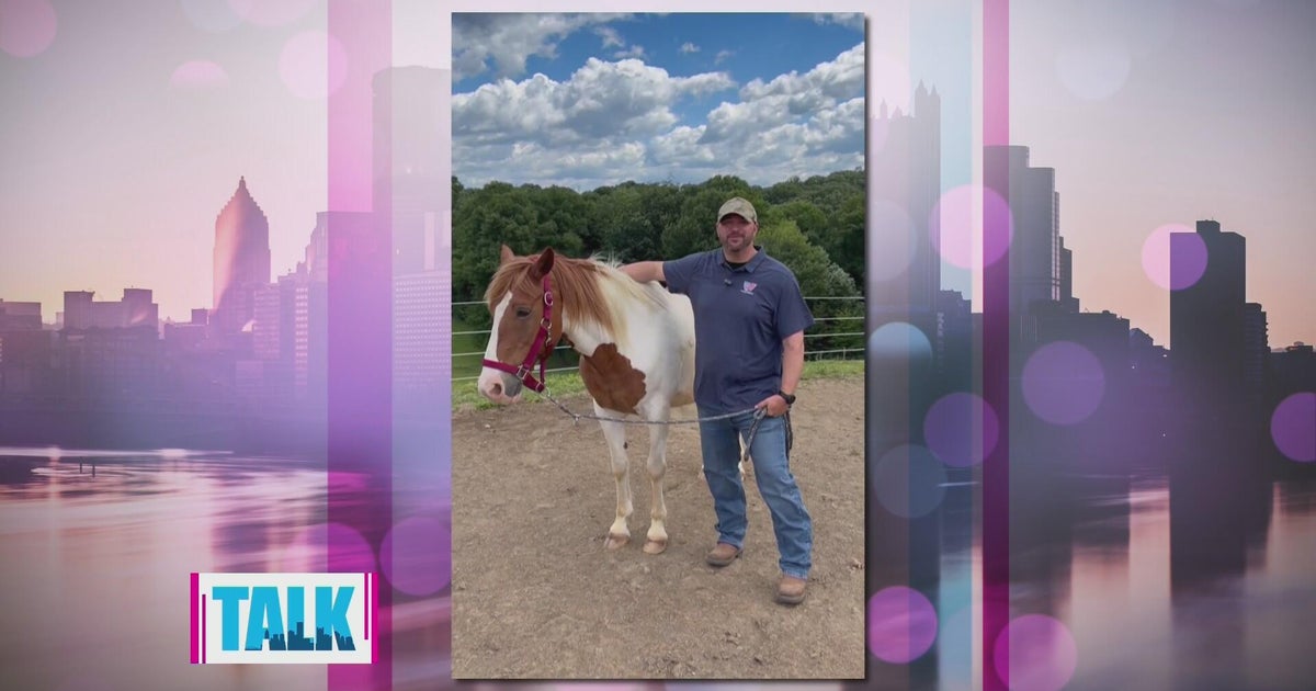 How Orchardview Stables helps veterans and first responders