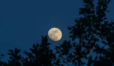 Take a moonlit hike through Fairmount Park during this after-dark summer adventure