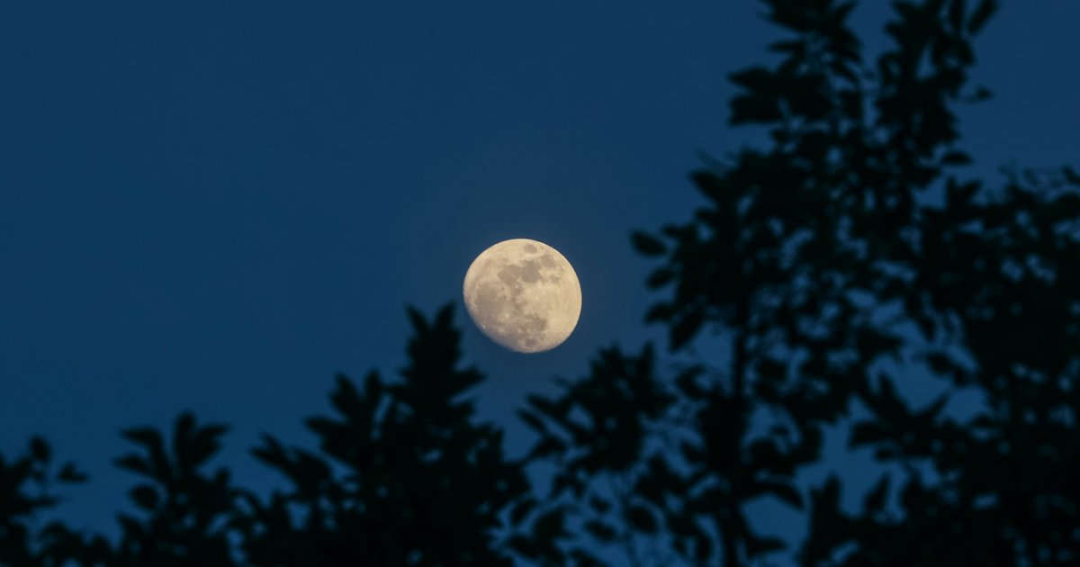 Take a moonlit hike through Fairmount Park during this after-dark summer adventure