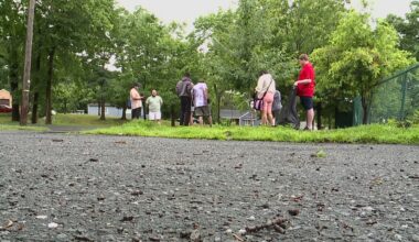 Non-profit helps spruce up local parks and recreational sites