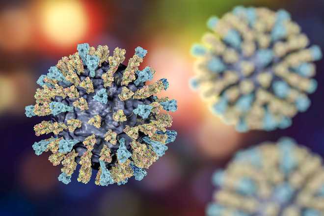 Measles virus, illustration measles dashboard
