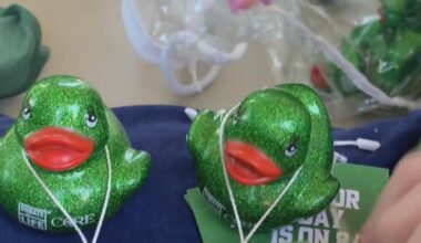 Green ducks appearing across western Pennsylvania to promote organ donation