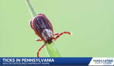 More tick bites are happening closer to home