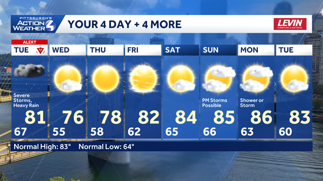 4+4 More Forecast 4+4 more forecast