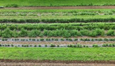 Volunteers at Pennsylvania farm tackle flooding challenges