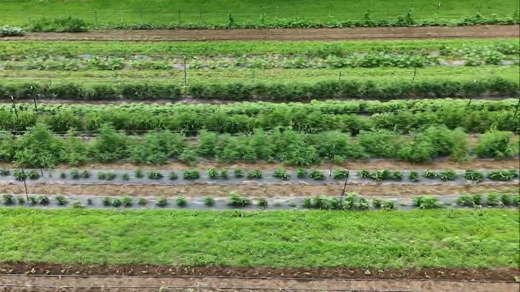Volunteers at Pennsylvania farm tackle flooding challenges