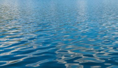 Brownstown Township police still seeking kayaker who was lost in July 3 storm