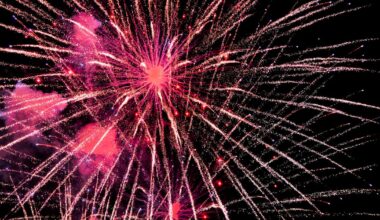 Pittsburgh doesn't anticipate problems with teen takeovers during Fourth of July celebrations