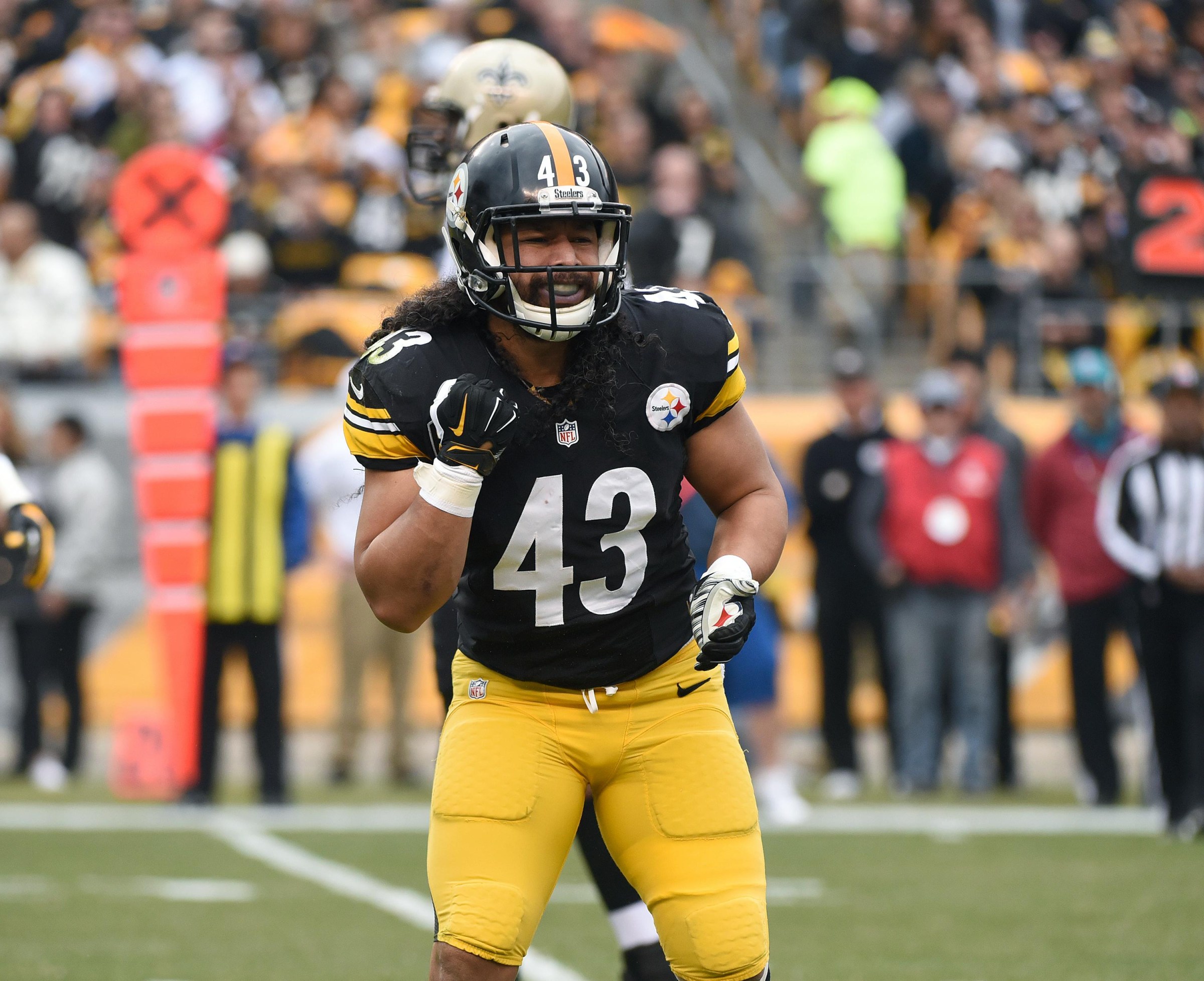 PITTSBURGH, PA - NOVEMBER 30: Safety Troy Polamalu #43 of the Pittsburgh Steelers reacts after a play during a game against the New Orleans Saints at Heinz Field on November 30, 2014 in Pittsburgh, Pennsylvania. The Saints defeated the Steelers 35-32. (Photo by George Gojkovich/Getty Images)