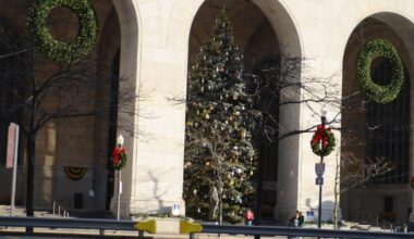 City of Pittsburgh begins search for 2026 Christmas tree