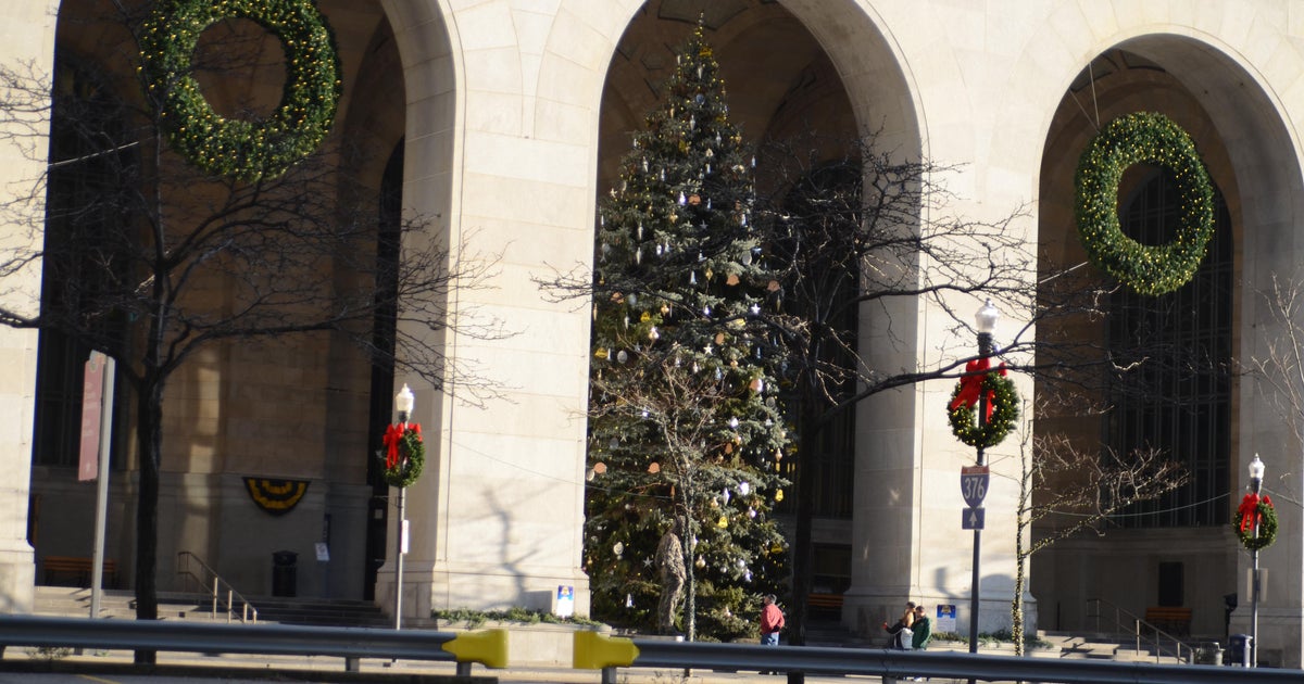 City of Pittsburgh begins search for 2026 Christmas tree