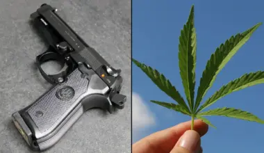 Pennsylvania's Ban On Gun Licenses Over Marijuana Convictions Is Being Challenged In A New Federal Lawsuit