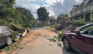 Powerful Microbursts Topple Trees Onto Cars, Homes and Roads Across Philadelphia