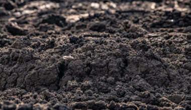 Pennsylvania regulators propose PFAS in biosolids limits