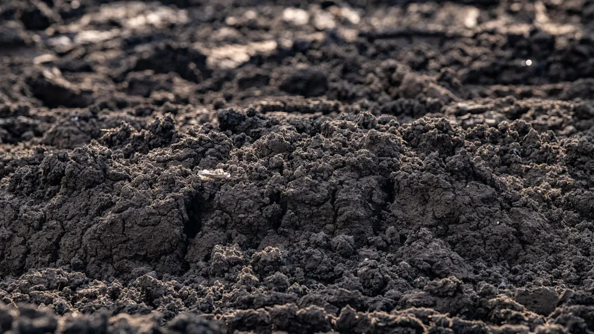 Pennsylvania regulators propose PFAS in biosolids limits