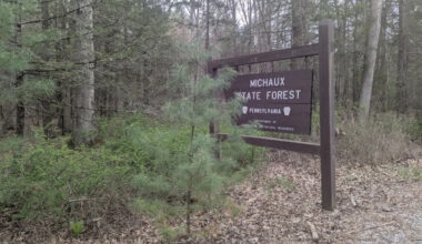 Troopers investigating after man exposes himself to woman in Pennsylvania state forest