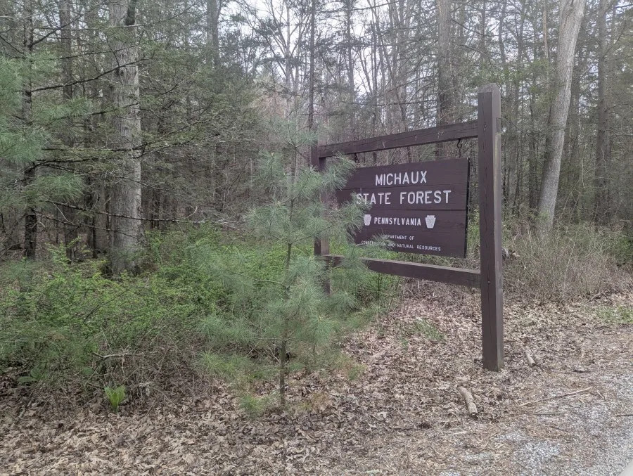 Troopers investigating after man exposes himself to woman in Pennsylvania state forest