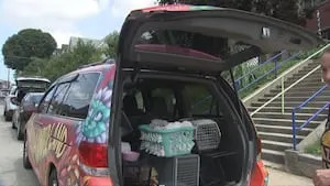 Small cat rescues working to remove 60 cats from home in Pittsburgh