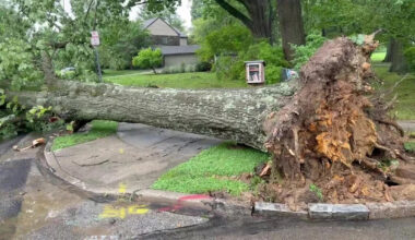 What is a microburst? What to know after severe storms hit Philadelphia