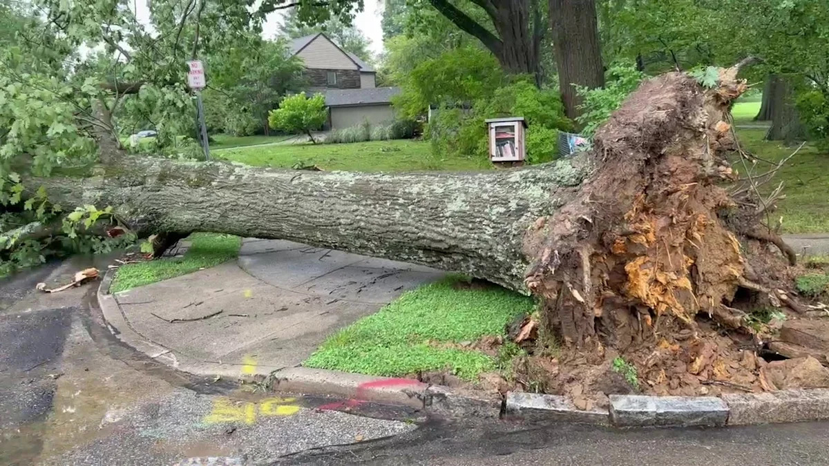 What is a microburst? What to know after severe storms hit Philadelphia