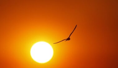 Hottest Julys in Pennsylvania since 1895 – WPXI