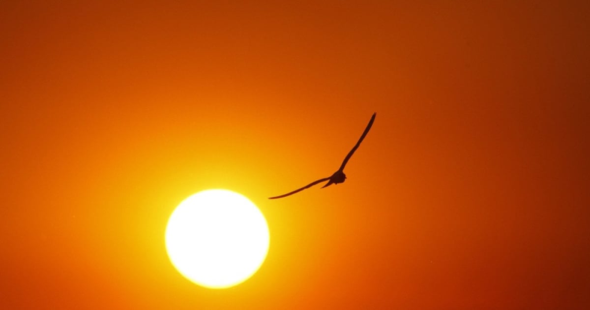 Hottest Julys in Pennsylvania since 1895 – WPXI