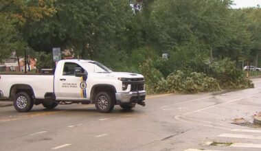 Man taken to hospital after being struck by branches from fallen tree limb in Pittsburgh
