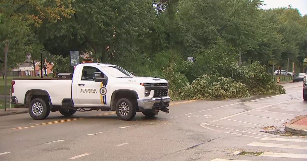 Man taken to hospital after being struck by branches from fallen tree limb in Pittsburgh