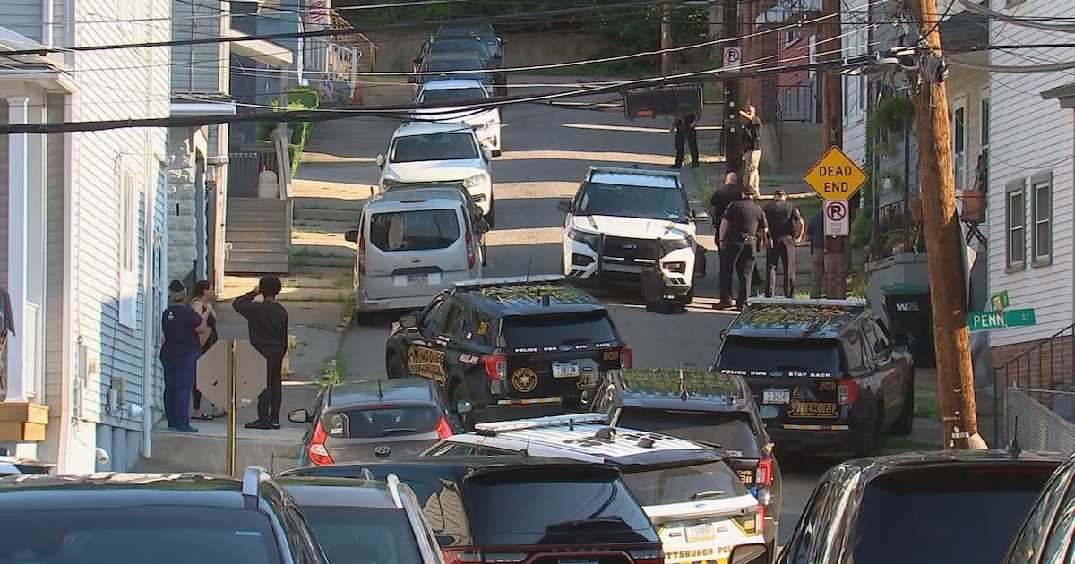 Standoff ends in arrest in Sharpsburg following alleged assault in North Shore – WPXI