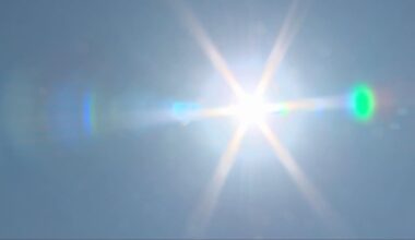 What you can do to stay safe during this week’s heat wave