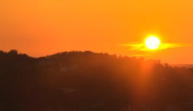 Dangerous heat lasts all week in Pittsburgh; heat index reaches above 100 degrees during afternoons