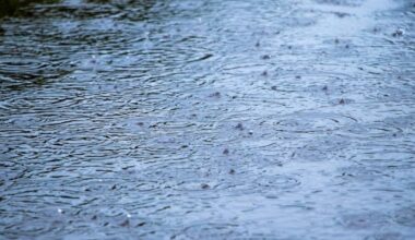 Pittsburgh weather: Scattered storms, showers continue flood risk on Tuesday in western Pennsylvania