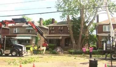 Work completed at home of East Liberty woman whose sewer line was crushed by massive tree 