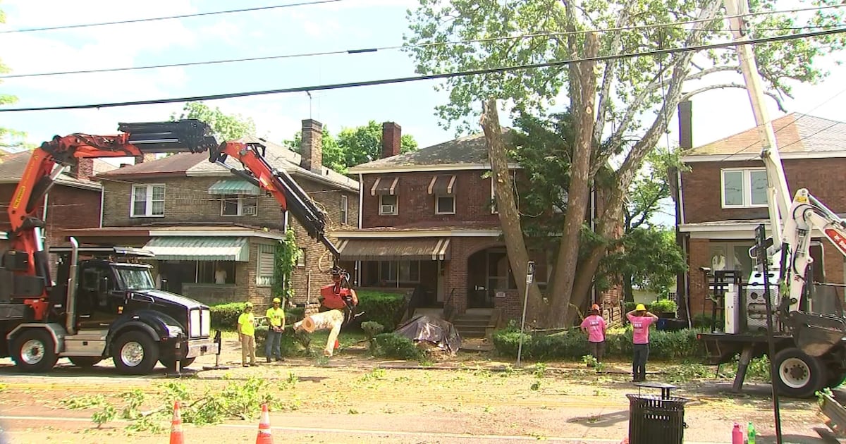 Work completed at home of East Liberty woman whose sewer line was crushed by massive tree 