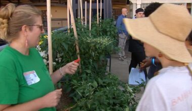 Grow Pittsburgh holds programs to help teens learn about value of growing, eating healthy food – WPXI