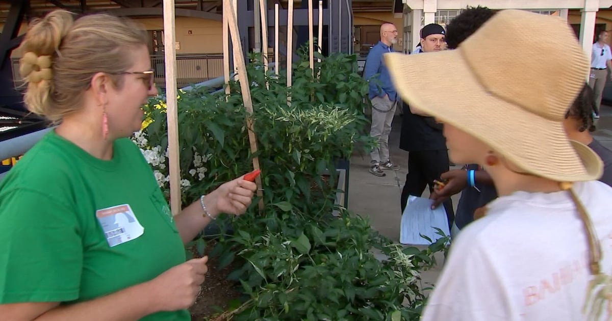 Grow Pittsburgh holds programs to help teens learn about value of growing, eating healthy food – WPXI