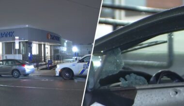 Delivery driver shot in Northern Liberties fight, police say – NBC10 Philadelphia