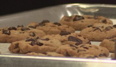 How Insomnia Cookies went from a dorm room in Philadelphia to an international success